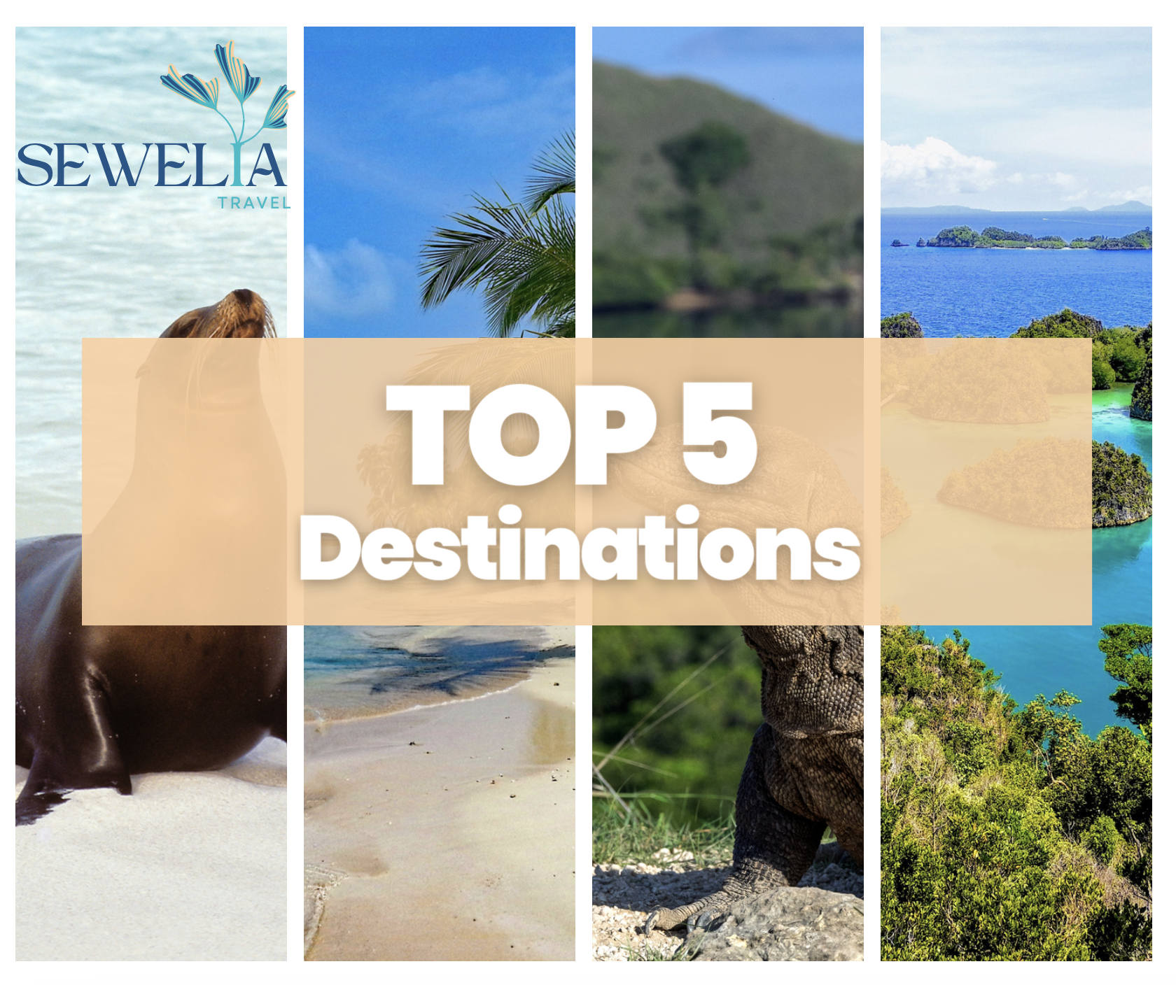 top 5 des destinations
